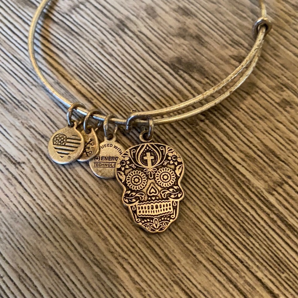 Alex and Ani Calavera charm bracelet.